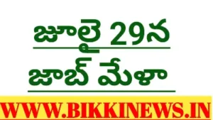 Job mela