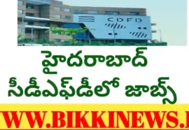 CDFD JOBS NOTIFICATION