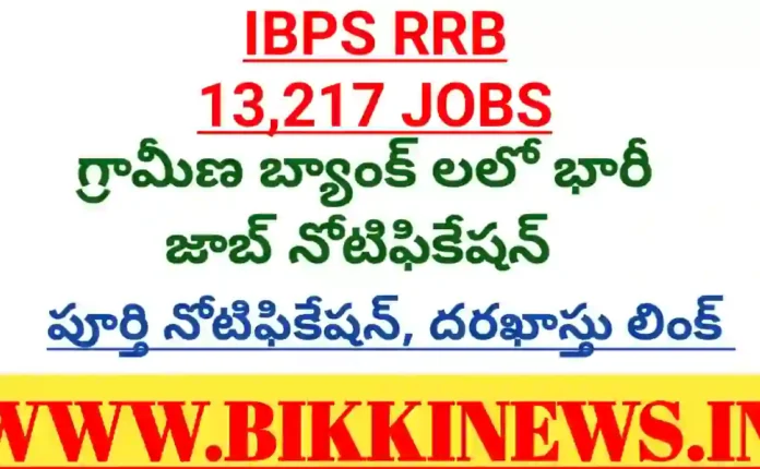 IBPS 13217 JOBS - గ్రామీణ బ్యాంక్ లలో భారీ నోటిఫికేషన్ 175 IBPS RRB 13217 Jobs notification