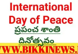 International day of peace