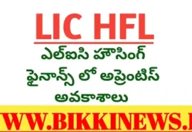 LIC HOUSING FINANCE LIMITED APPRENTICE