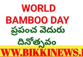 World bamboo day