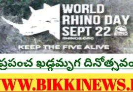 World rhino day