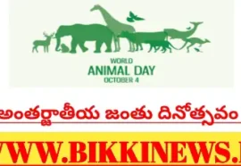 International animal day