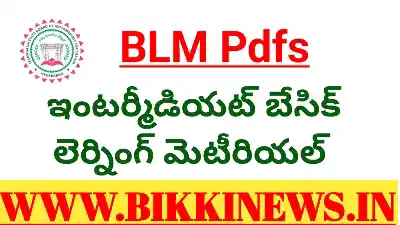 INTER BLM - INTER BASIC LEARNING MATERIAL 110 INTERMEDIATE BASIC LEARNING MATERIAL