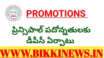 PROMOTIONS - ఇంటర్ విద్యలో పదోన్నతులకు డీపీసీ ఏర్పాటు 100 JL TO PRINCIPAL PROMOTIONS DPC