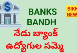 BANK HOLIDAY TODAY ON 27th JANUARY. bikki news