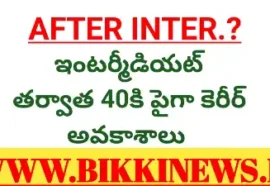 Career after intermediate education