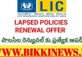 Chance for Renewal of laps lic policies