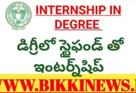 INTERNSHIP WITH STIPEND IN DEGREE.