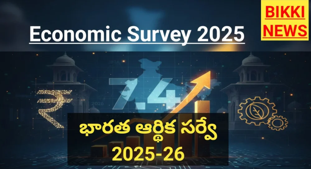 Economic survey 2025 - భారత్ ఆర్థిక సర్వే - bikki news