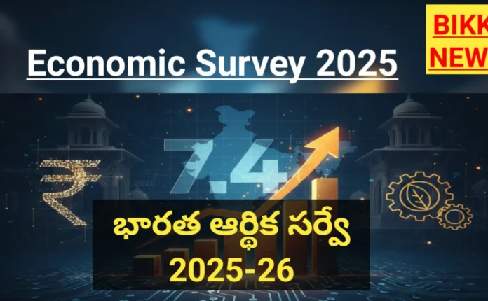Economic survey 2025 - భారత్ ఆర్థిక సర్వే - bikki news
