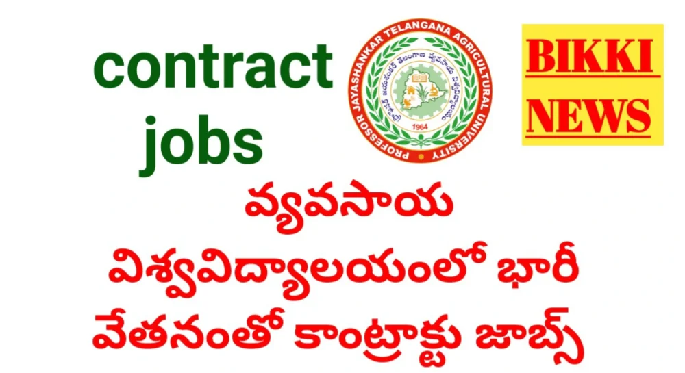 Pjtau domain expert jobs 2026 - bikki news