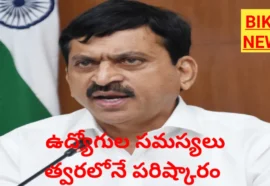 Telangana Employees issues will be resolved soon