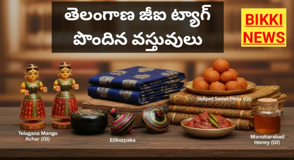 GI TAGGED Telangana ITEMS LIST