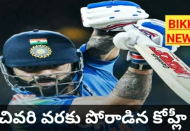 newzealand beat india