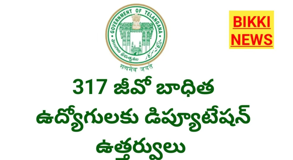 317 GO బాధిత ఉద్యోగులకు డిప్యూటేషన్ ఉత్తర్వులు 1 Deputation for 317 GO effected employees