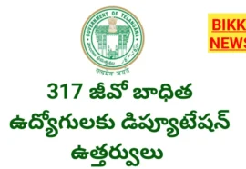 317 GO బాధిత ఉద్యోగులకు డిప్యూటేషన్ ఉత్తర్వులు