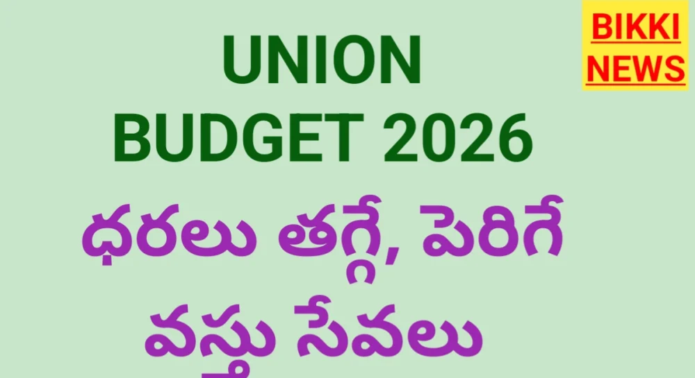 Goods and services with decreasing and increasing prices according to budget 2026