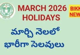 HOLIDAYS IN MARCH 2026