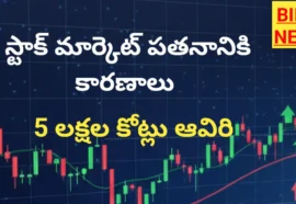 REASONS FOR STOCK MARKET CRASH