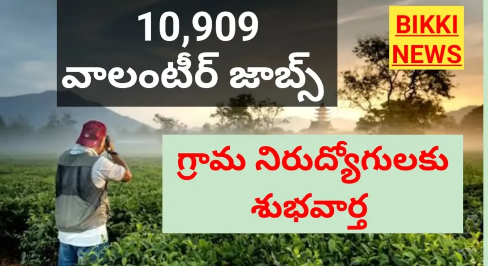 Telangana Volunteer jobs - తెలంగాణలో 10,909 వాలంటీర్ జాబ్స్ 1 Telangana volunteer jobs notification 2026