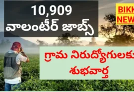 Telangana Volunteer jobs – తెలంగాణలో 10,909 వాలంటీర్ జాబ్స్