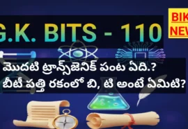 general knowledge bits by bikki news