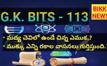 Standard gk bits part 113 for compititive exam- bikki news