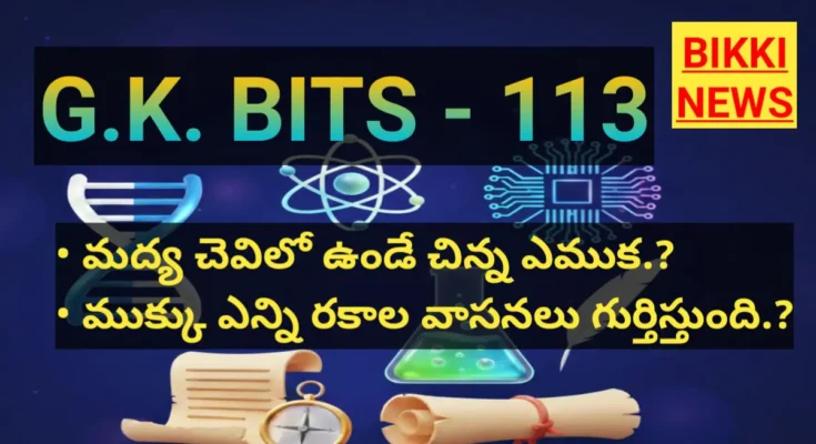 Standard gk bits part 113 for compititive exam- bikki news