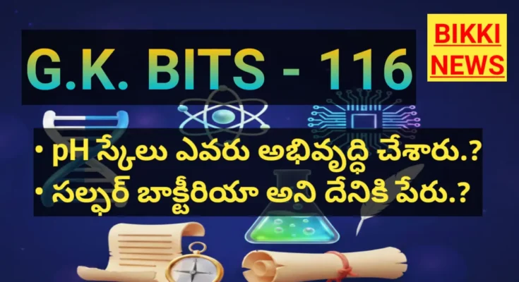 Top gk bits by bikki news