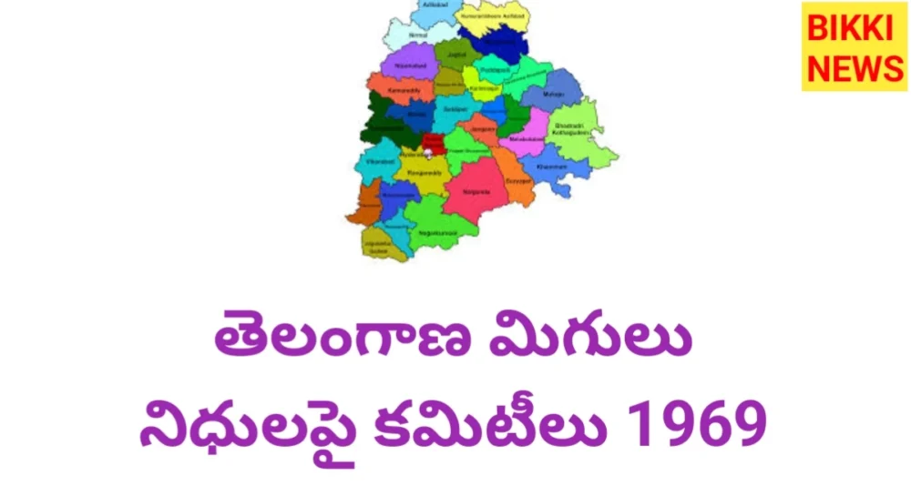 Commities on telangana surplus budget
