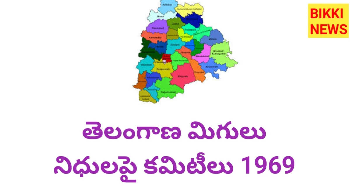 Committees on telangana surplus funds - పూర్తి విశ్లేషణ - bikki news