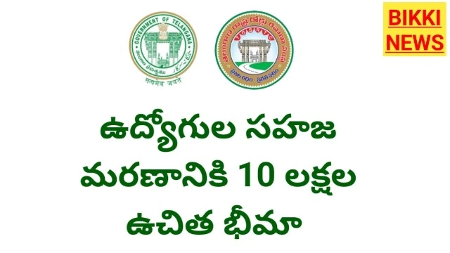 Employees -సహజ మరణానికి 10 లక్షల ఉచిత బీమా - bikki news