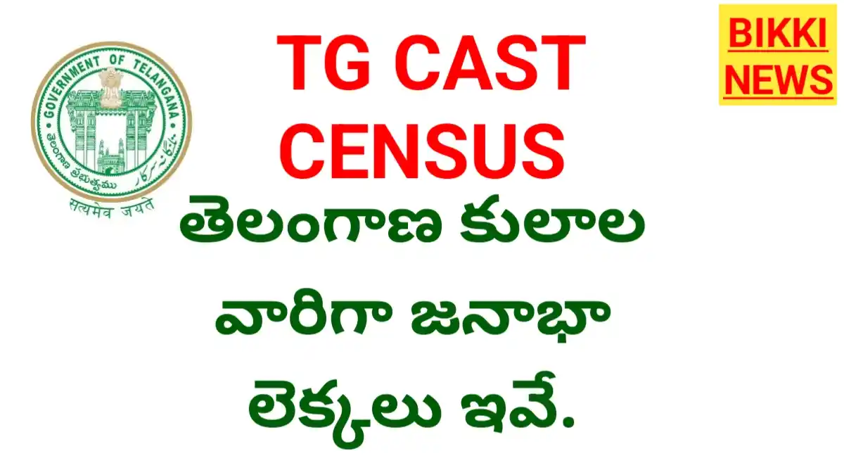 Telangana caste survey 2024 - కులాల వారిగా జనాభా లెక్కలు - bikki news