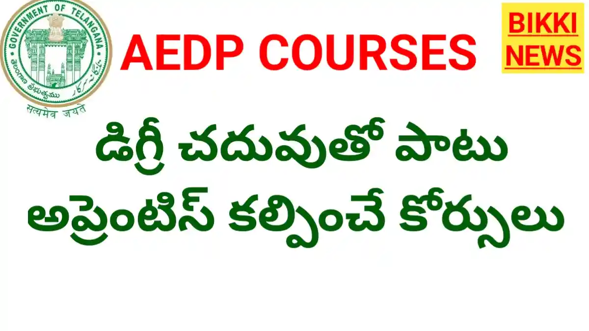 Aedp courses - డిగ్రీతో పాటు అప్రెంటిస్ షిప్, సంపాదన - bikki news
