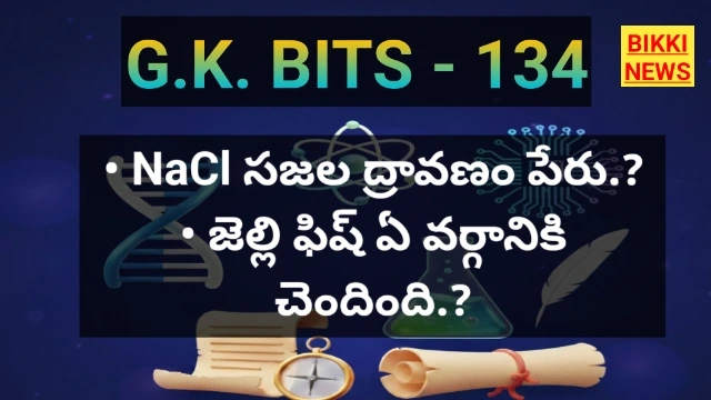 Daily gk bits part 134 - జీకే బిట్స్ - bikki news