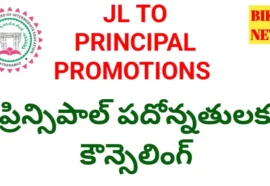 Principal promotions - ప్రిన్సిపాల్ గా పదోన్నతులకు 22న కౌన్సెలింగ్ - bikki news