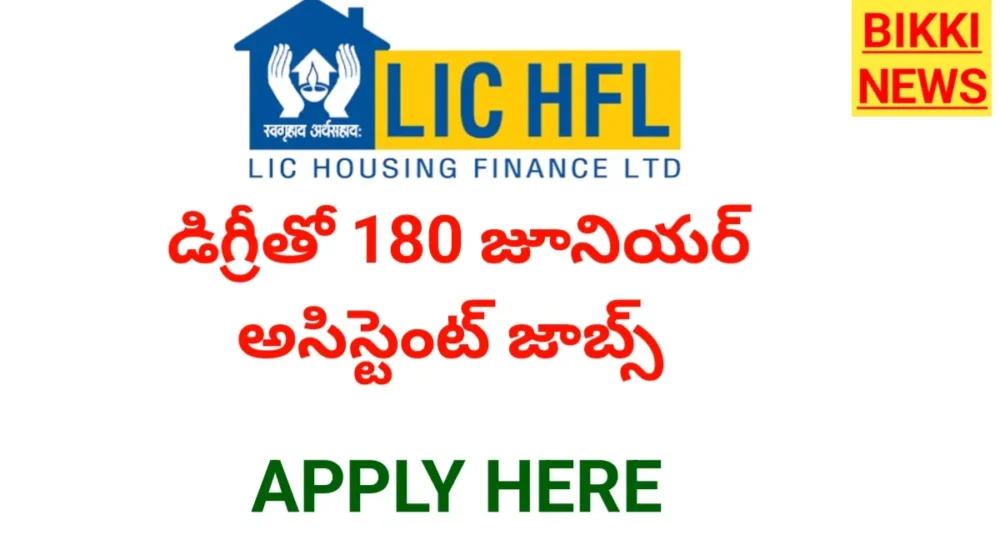 Lic hfl jobs