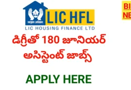 Lic hfl junior assistant jobs - డిగ్రీతో జూనియర్ అసిస్టెంట్ జాబ్స్ - bikki news