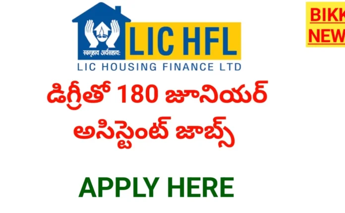 Lic hfl jobs