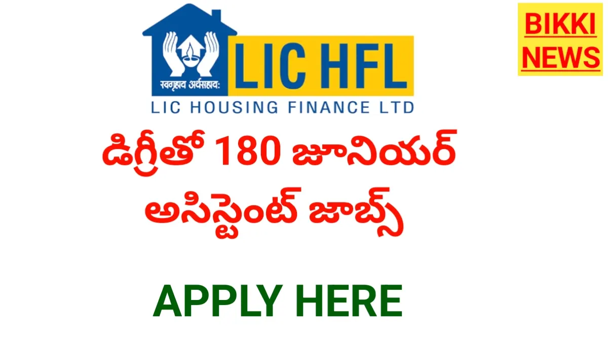 Lic hfl junior assistant jobs - డిగ్రీతో జూనియర్ అసిస్టెంట్ జాబ్స్ - bikki news