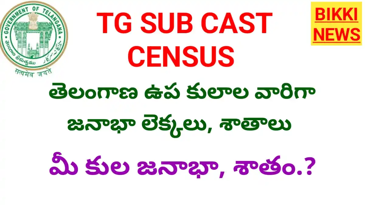 Telangana sub caste wise census - ఉప కులాలు వారీగా జనాభా లెక్కలు ఇవే - bikki news