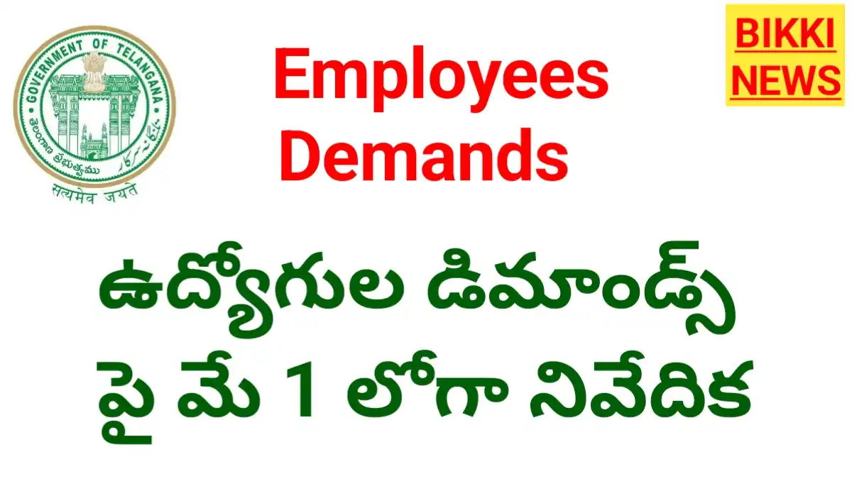 Employees demands - ఉద్యోగుల సమస్యలపై రిపోర్ట్ ఇవ్వాలని - bikki news