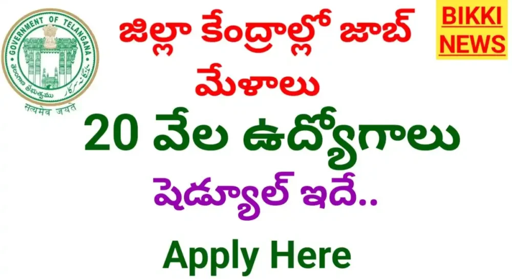Job mela