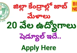 Telangana job mela - మే నెలలో ప్రభుత్వ జాబ్ మేళాలు - bikki news