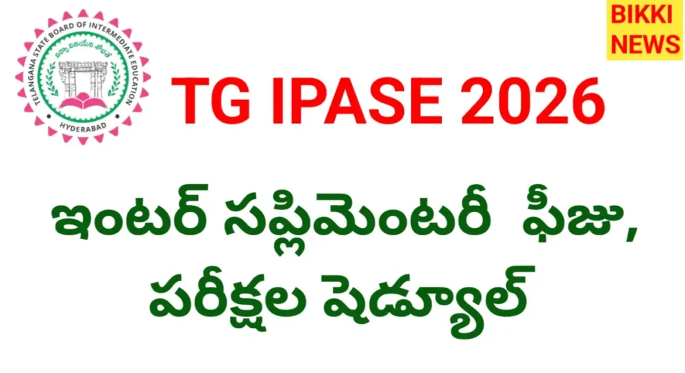 Tg ipase