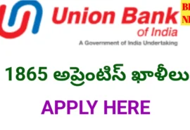 Ubi bank apprentice - 1865 బ్యాంక్ అప్రెంటిస్ అవకాశాలు - bikki news