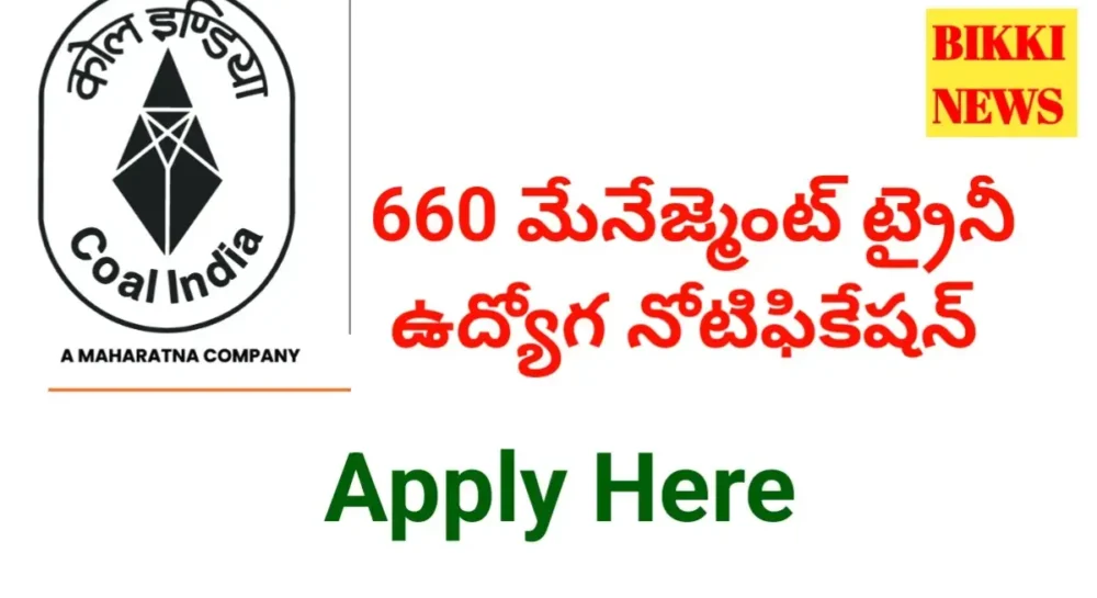 Management trainee job notification - bikki news