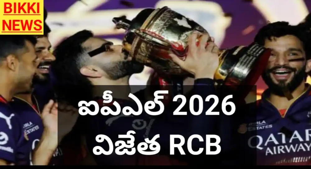Ipl 2026 winner rcb
